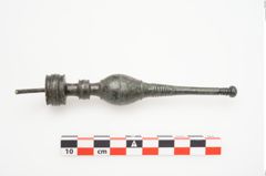 Foto von Bronzenadelspitzenschoner (NHMW-PRAE-026597)
